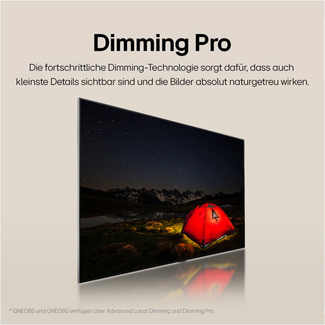 LG 65 QNED80T6A / nur mit gültigem SDA-Vertrag