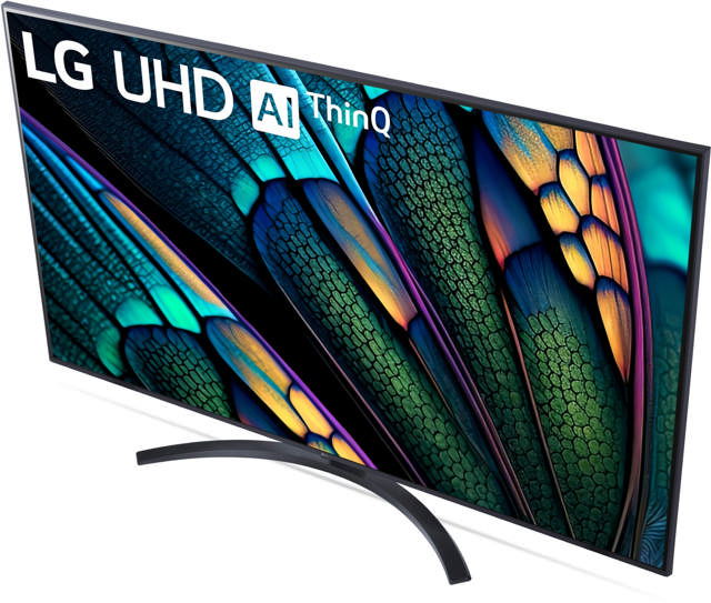 LG 65 UR81006LJ