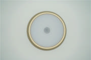 DETAIL207099